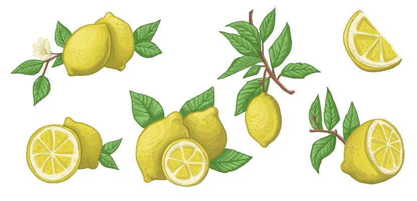 Limones