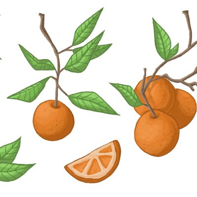 Naranjas