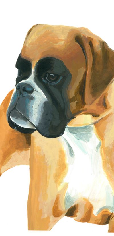 pintura-retratocanino2-perro-acrilico